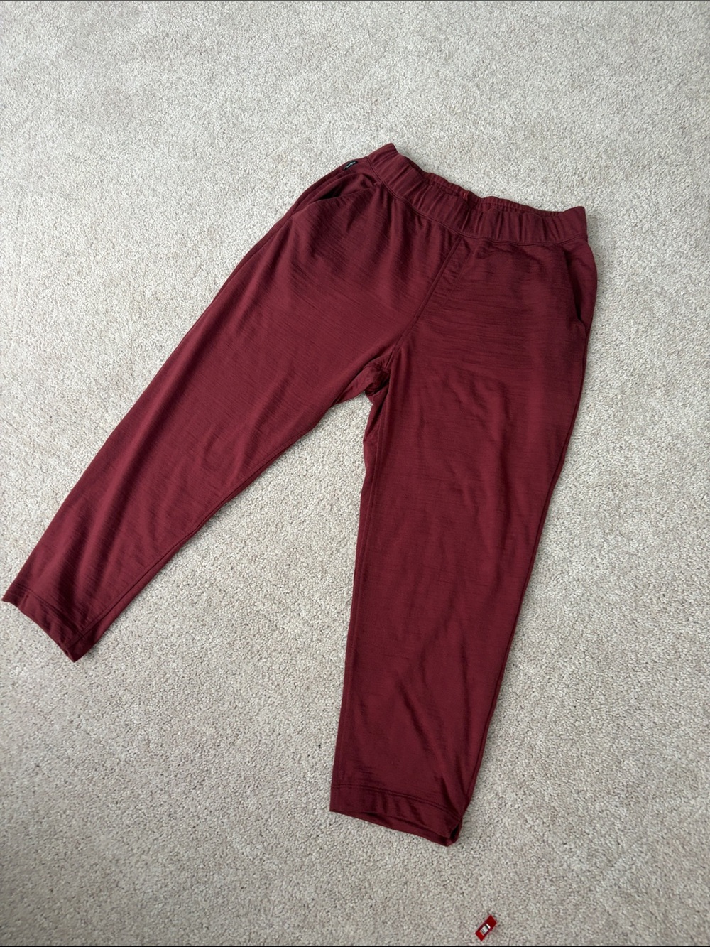 Icebreaker Port Ankle Track Pants Crush II.  Like new!